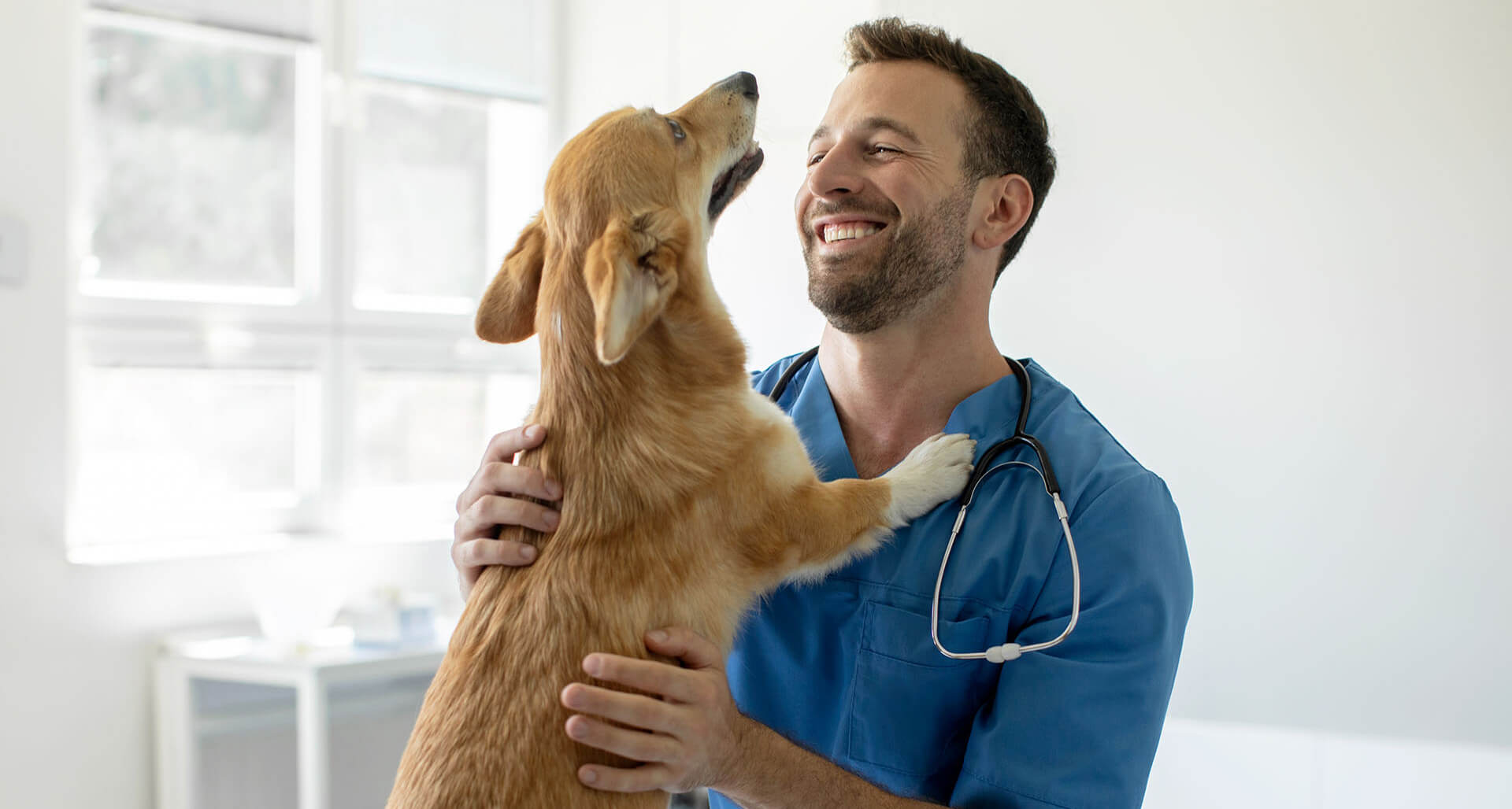 Ein lächelnder Tierarzt und ein Hund