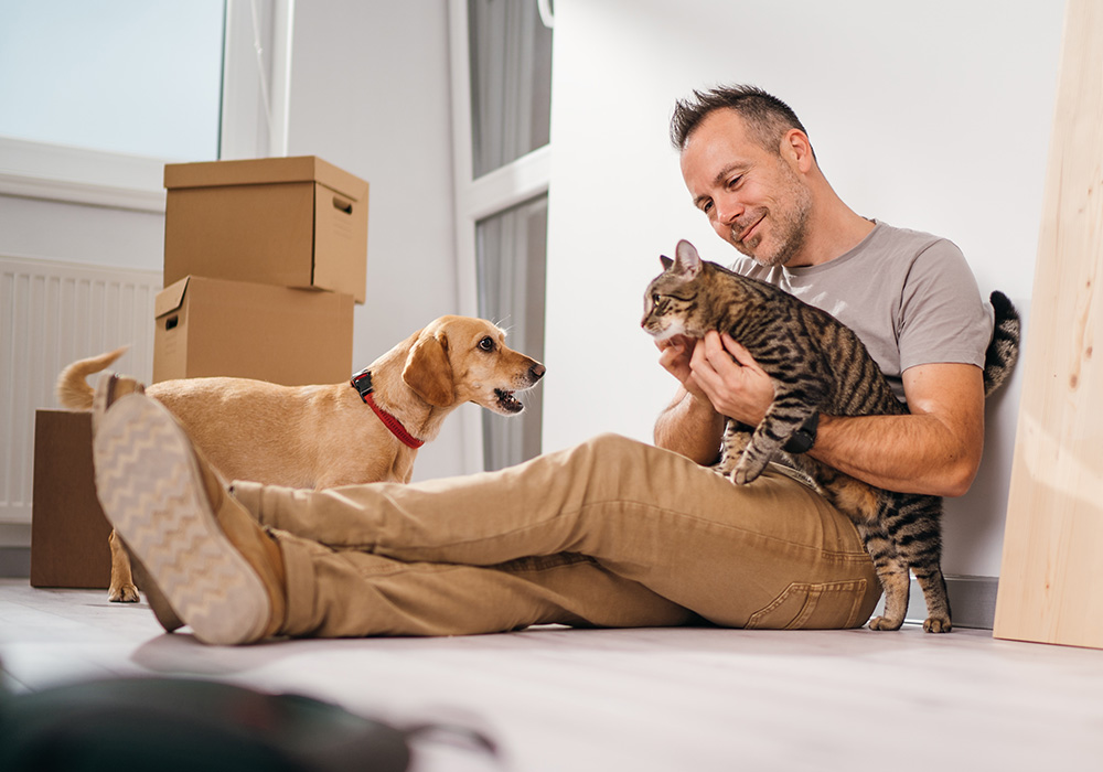 Junger Tierarzt zieht um, mit dabei sind Hund und Katze